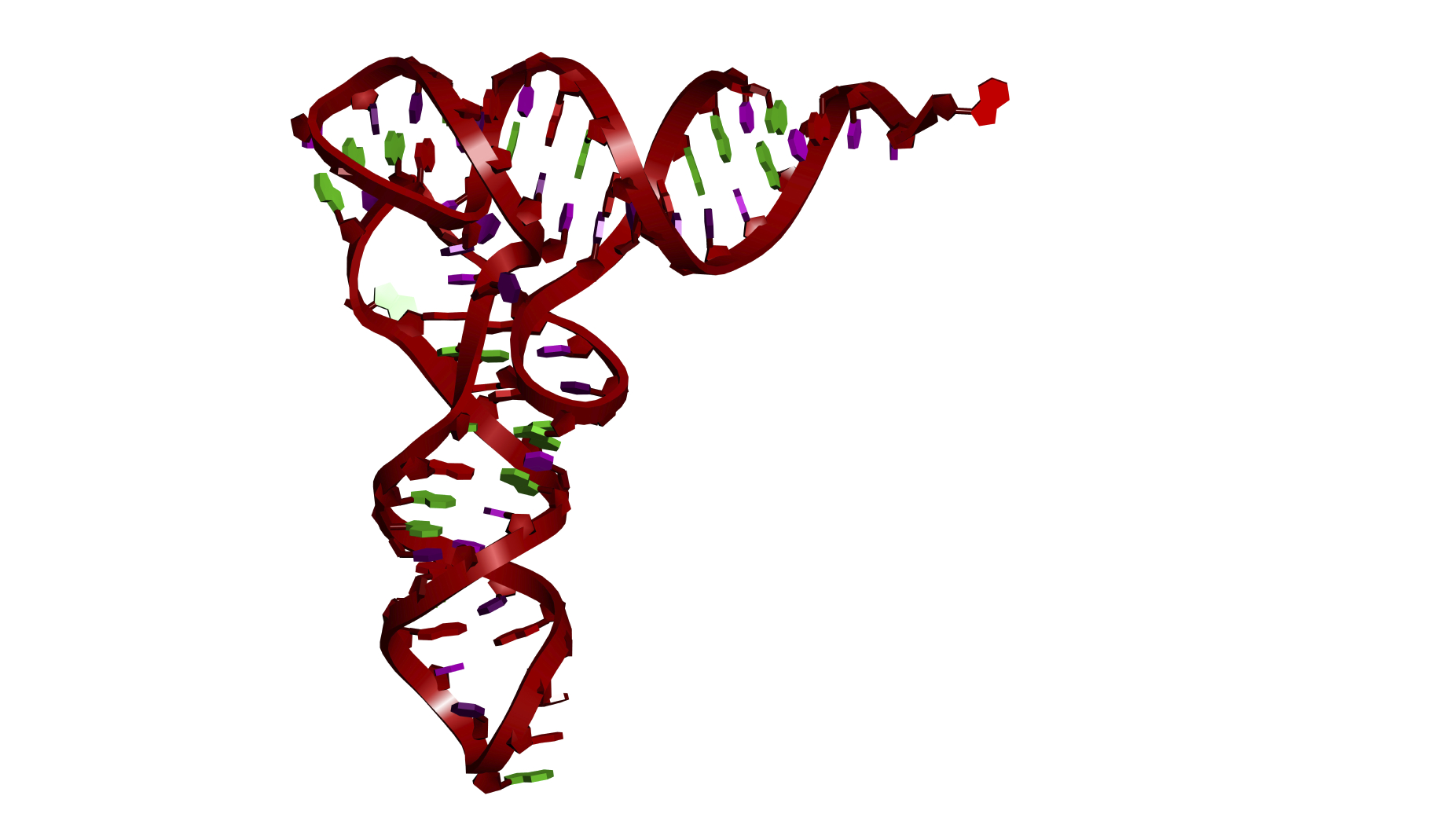 Молекула РНК на прозрачном фоне